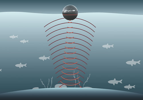 超聲波驅(qū)魚(yú)換能器